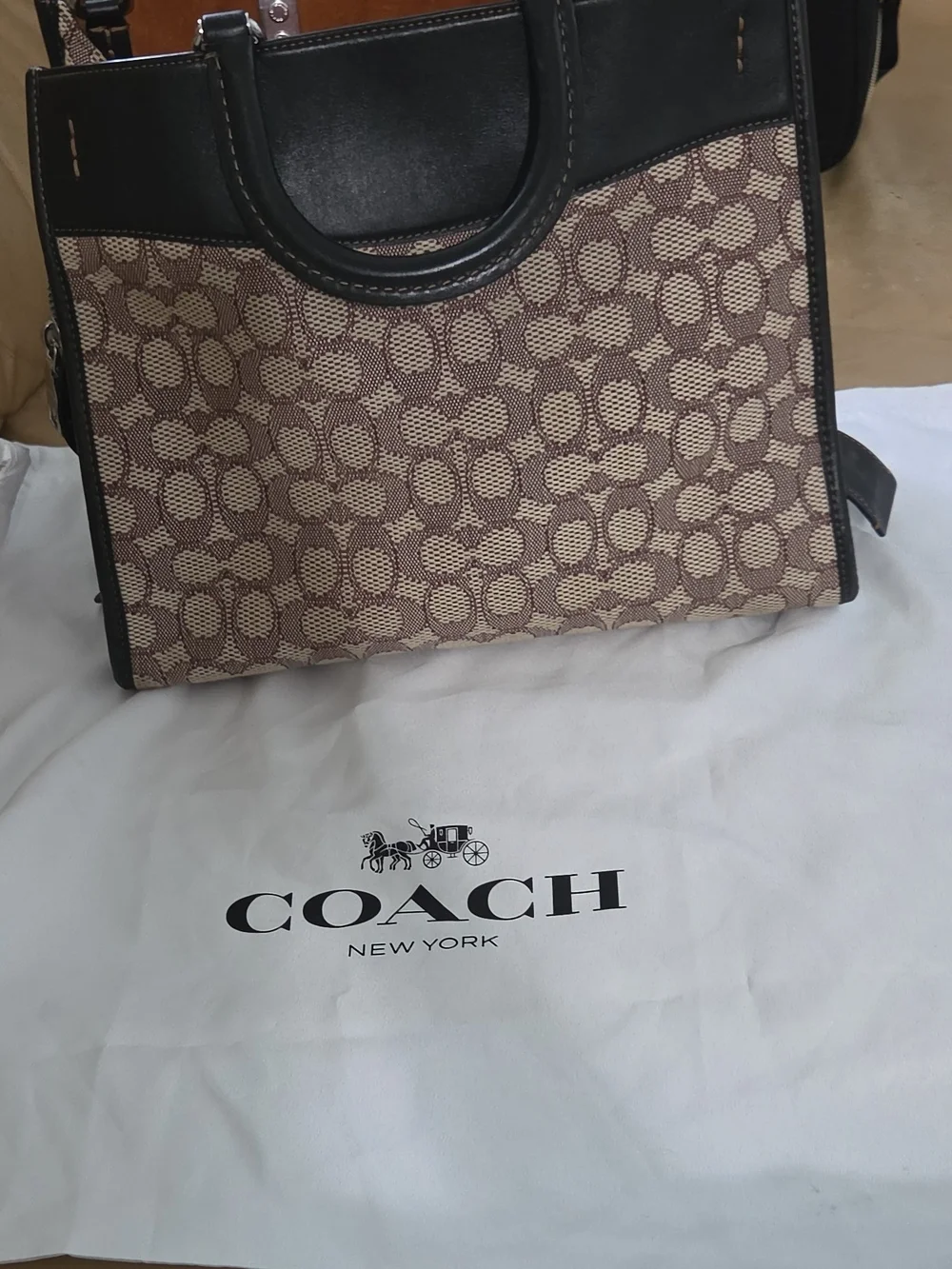 COACH Signature Canvas Tote Bag in Brown and Black